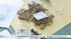 Կա՞ արդյոք թուրք-արաբական հետք հայի գենոֆոնդում